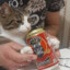 Beer_Kitty