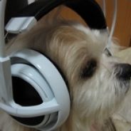 ^8~.@Eight-faced ghost