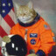 space cat