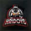 ridoy