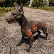 animalZombieDog