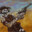 RoNiN