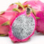 [Dragon Fruit] The Very Seedy