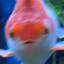 moist