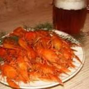 ТIМАТI КОМПОСТЕР