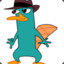 Perry the platypus