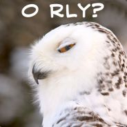 Simioen - steam id 76561197971716227
