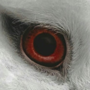 开奔驰的藤原拓海