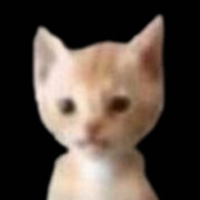 *naperdis avatar