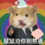 青墨clear
