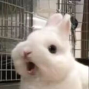 晕3D你要毁了我吗