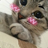 test - steam id 76561198071116428