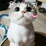 bilibili~随缘的风