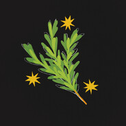 dew of the sea avatar