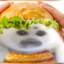 sinktpoop