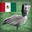 Goose