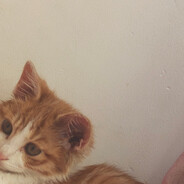 大邱猛男裴柱现