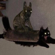 Теребонька