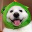 Wizzy