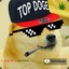 dogy mlg pro mlg XD XD