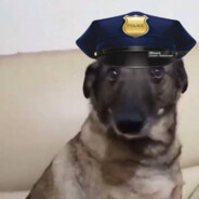 POLICEDOG - steam id 76561199064706266