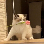 シγλыδнμςьツ