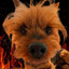 Steam avatar