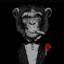 GodMonkey