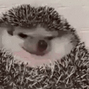 人为什么一直困