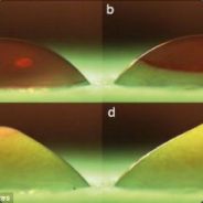 我的水平比延迟高