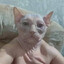 Mastir_Ioda's avatar