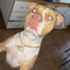 no compres r8