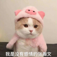 小猪瀚文