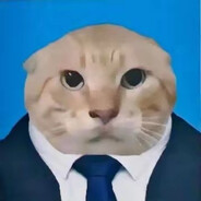 不哈气是你的谎言