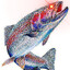 Steelhead Trout