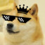 the doge meh king