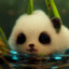 panda