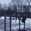 доля воровскаЯ