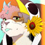 Calico Cat