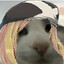 jesus_flv