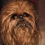 Chewie_Le_Juste