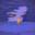 C:\Borealis