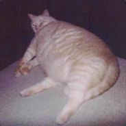 Ntt - steam id 76561197960774637
