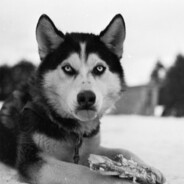 请你不要随地大小便