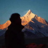 落花残月伊人殇.