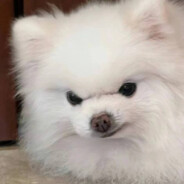 02清纯男高中生