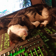 Fïnchen ¯\_(ツ)_/¯