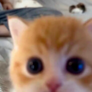 全宇宙最可爱的人