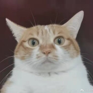 博白街不相信眼泪