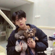 丘比特拯救福莱飞